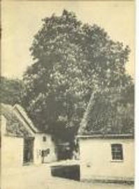 Tadre Mølle